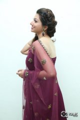 Hamsa Nandini at Bengal Tiger Movie Audio Launch